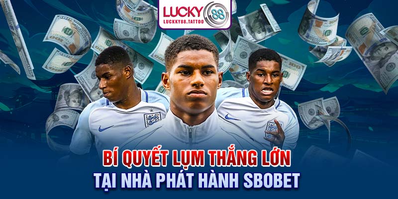 Bí quyết lụm thắng lớn tại nhà phát hành SBOBET