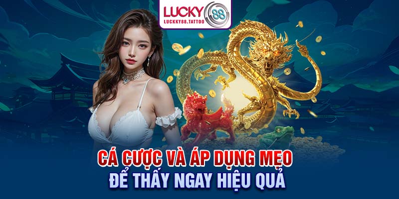 Cá cược và áp dụng mẹo để thấy ngay hiệu quả