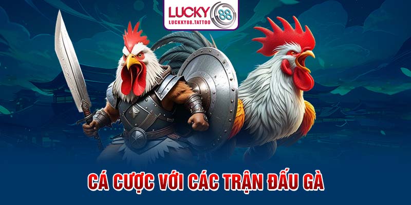 Cá cược với các trận đấu gà