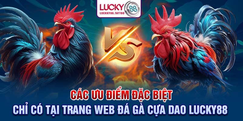 Các ưu điểm đặc biệt chỉ có tại trang web đá gà cựa dao Lucky88