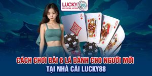 Cách Chơi Bài 6 Lá Dành Cho Người Mới Tại Nhà Cái Lucky88