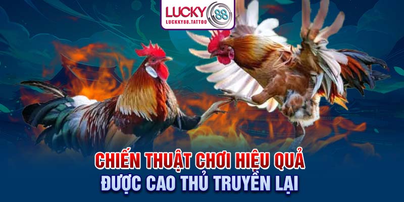 Chiến thuật chơi hiệu quả được cao thủ truyền lại