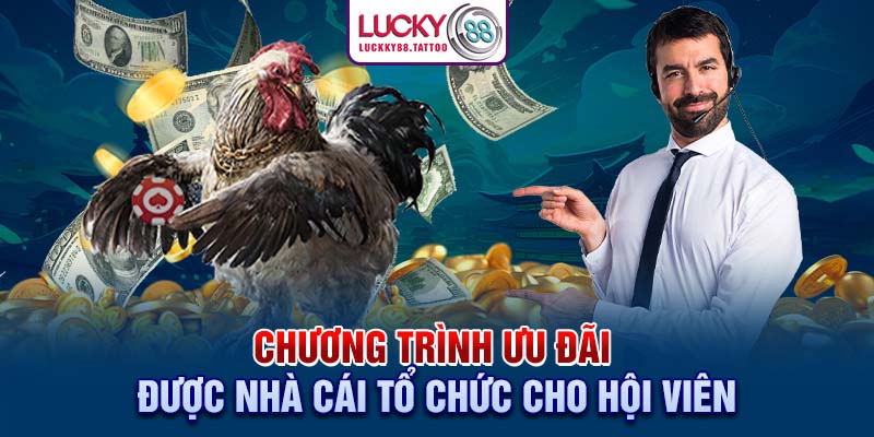 Chương trình ưu đãi được nhà cái tổ chức cho hội viên