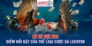 Đá Gà Cựa Dao - Điểm Nổi Bật Của Thể Loại Cược Gà Lucky88