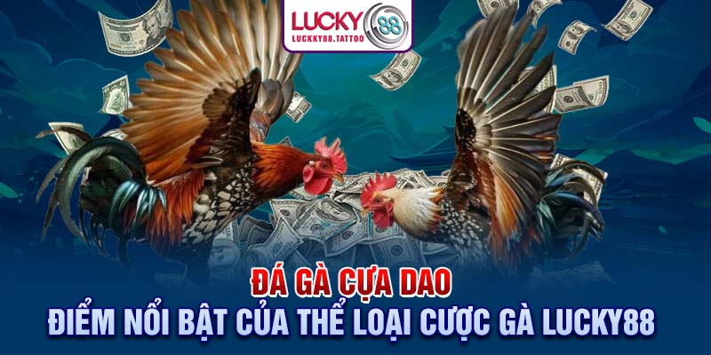 Đá Gà Cựa Dao - Điểm Nổi Bật Của Thể Loại Cược Gà Lucky88