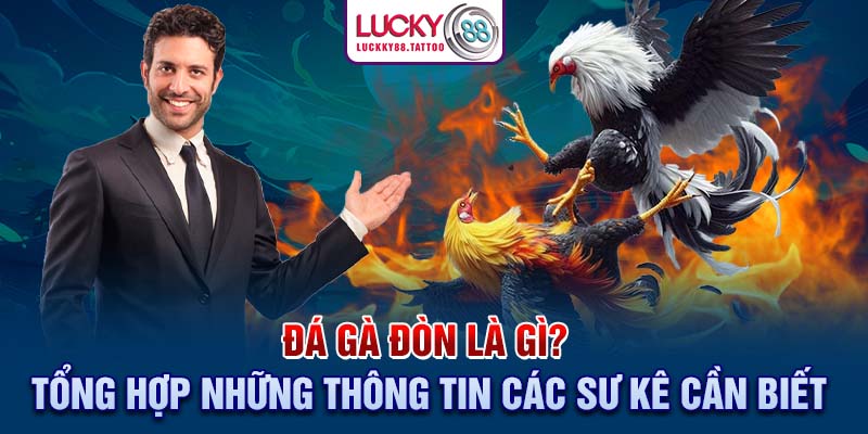 Đá Gà Đòn Là Gì? Tổng Hợp Những Thông Tin Các Sư Kê Cần Biết