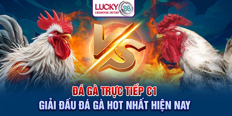 Đá gà trực tiếp C1 - Giải đấu đá gà hot nhất hiện nay