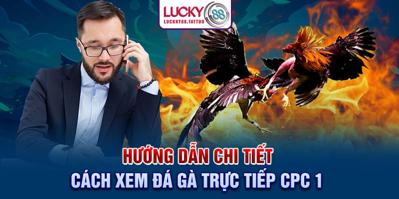 Hướng dẫn chi tiết cách xem đá gà trực tiếp cpc 1