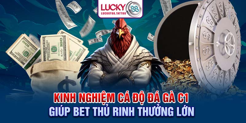 Kinh nghiệm cá độ đá gà C1 giúp bet thủ rinh thưởng lớn