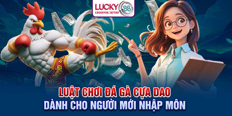 Luật chơi đá gà cựa dao dành cho người mới nhập môn