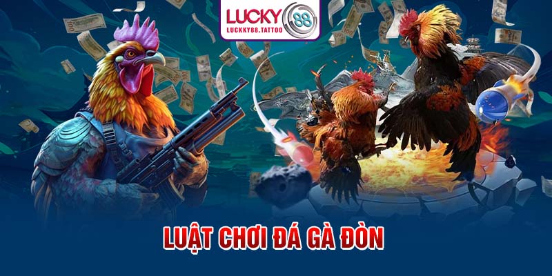 Luật chơi đá gà đòn