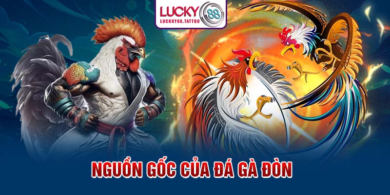 Nguồn gốc của đá gà đòn