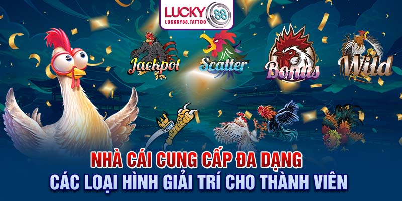 Nhà cái cung cấp đa dạng các loại hình giải trí cho thành viên