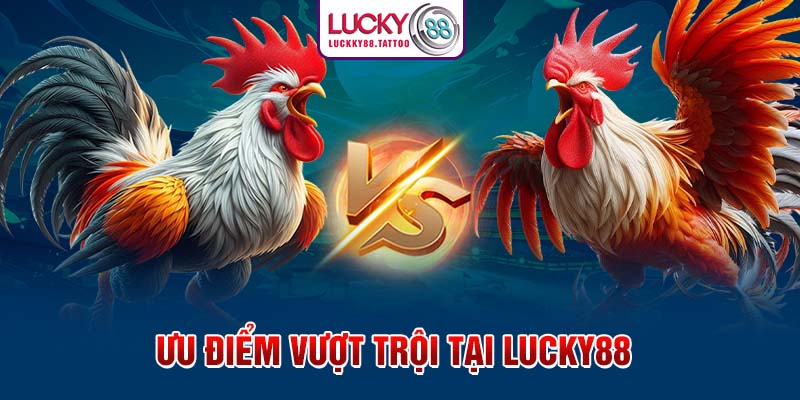 Ưu điểm vượt trội tại Lucky88