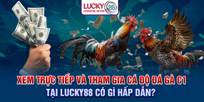 Xem trực tiếp và tham gia cá độ đá gà C1 tại Lucky88 có gì hấp dẫn?